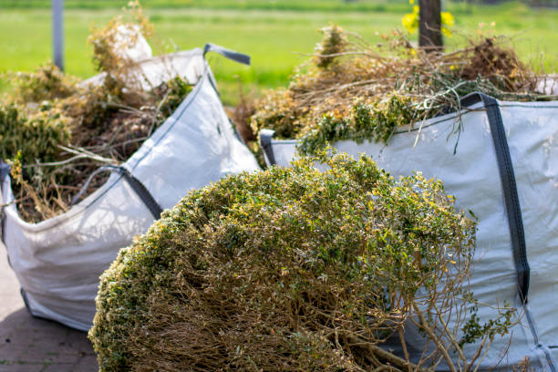 Debris Removal in Pevely, MO